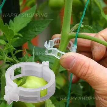 Plastik Kafes Domates Klipleri Destekler Bağlar Bitkiler Vines Kafes Sicim Kafesleri Bahçe Sebze Domates Malzemeleri