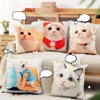 Yazdırılabilir Kedi fotoğrafları ile özelleştirilmiş DIY yastıklar Pet yastıklar özelleştirilmiş kanepeler çiftler ışık lüks yastıklar yastıklar