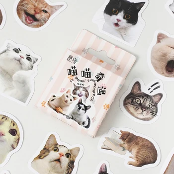 46 adet / kutu Sevimli yavru kedi için uygun dekoratif çıkartmalar DIY günlüğü dizüstü Karalama Defteri çocuk kırtasiye çıkartmalar